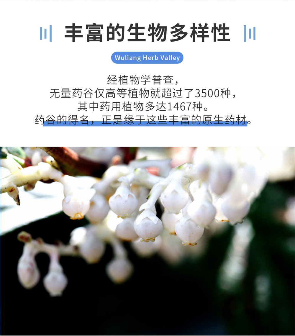 无量药谷源头之旅_05.jpg