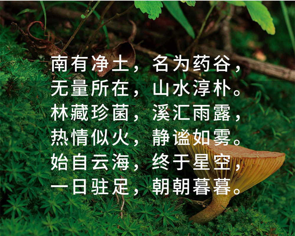 无量药谷源头之旅_26.jpg