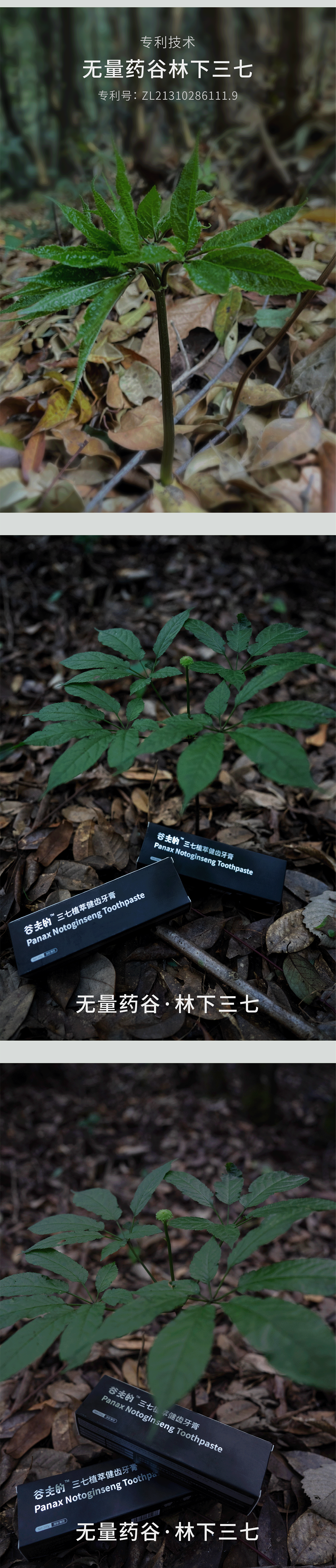 牙膏详情页-01b.png