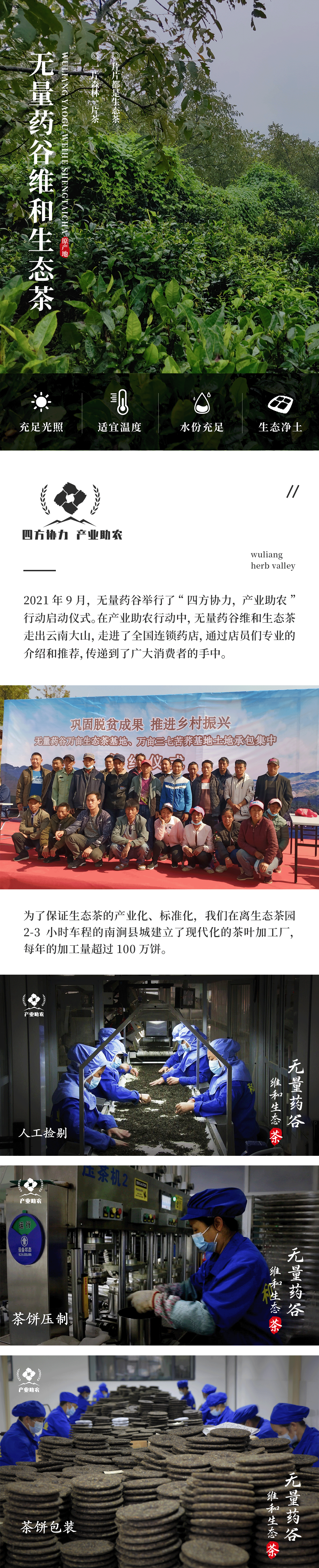 无量药谷维和茶b.png